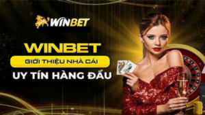 Các dịch vụ tại trang Winbet.